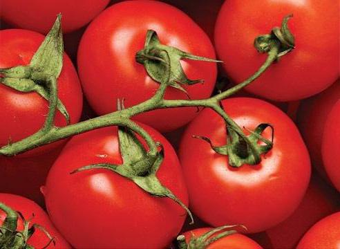 Pomidor "Dar Заволжья"
