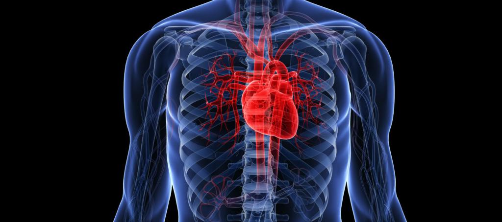 Kalp-damar sistemi