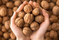Walnut beneficial properties for the organism, recipes, contraindications