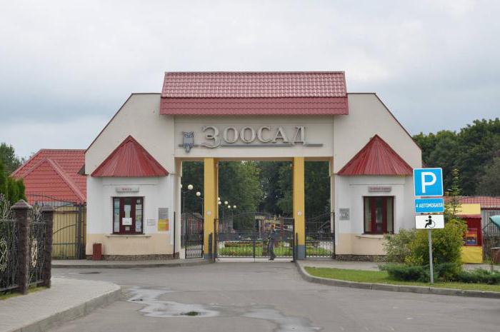 Mogilyov zoo