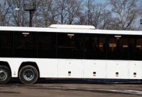Otobüs ГолАЗ 5251, 6228: teknik özellikleri ve fotoğraf
