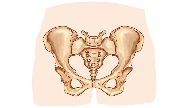 pain in the pubic region