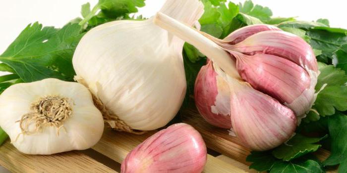 predecessors garlic
