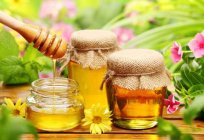 La miel de cedro: útiles de propiedades, contraindicaciones, las características y los clientes
