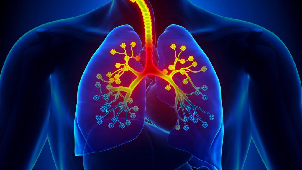die Symptome von Asthma bei Erwachsenen