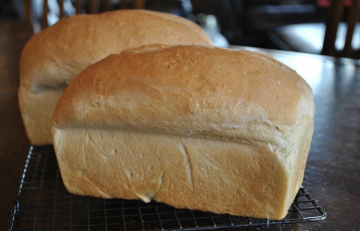 recipe for white bread