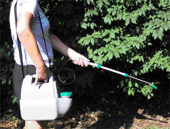 electric cordless garden sprayer