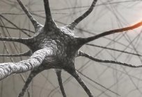 Дзе і як утвараюцца нейрогормоны? Што такое нейрогормоны і якія іх функцыі?