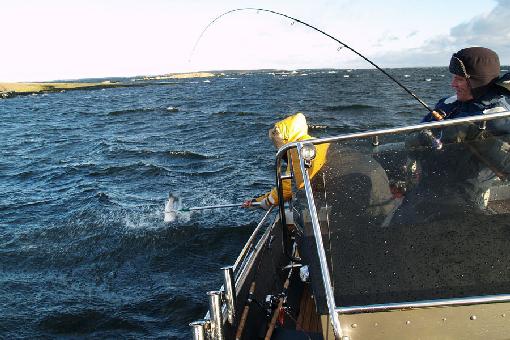 fishing on the Finnish Gulf