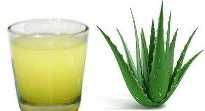 sok z aloesu sposób użycia właściwości lecznicze