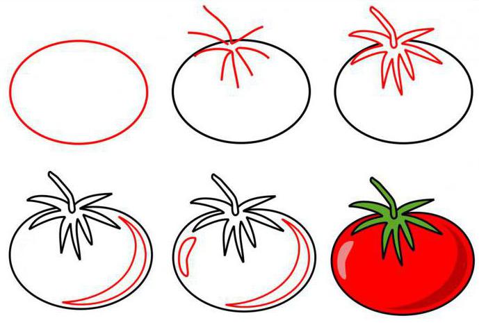 wie zeichne Tomate