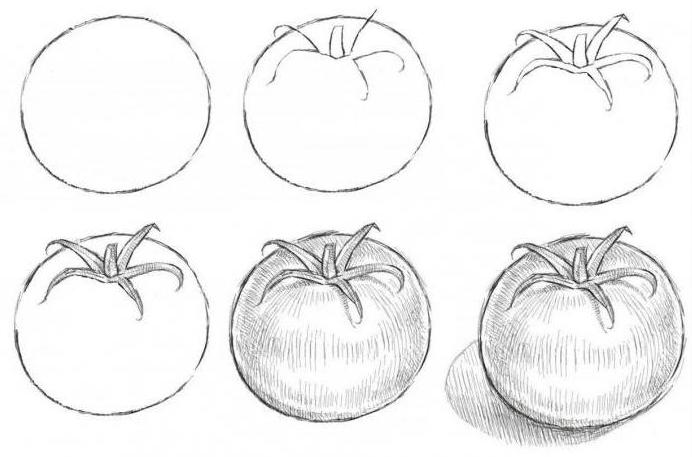 cómo dibujar un tomate con un lápiz por etapas