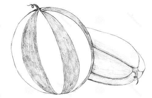 como desenhar uma melancia