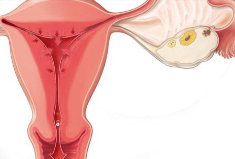 ovulation क्या है और कैसे की गणना करने के लिए