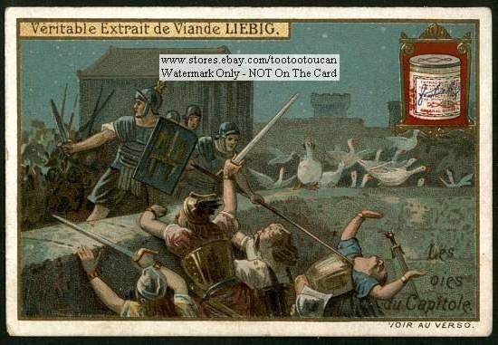 how the geese saved Rome