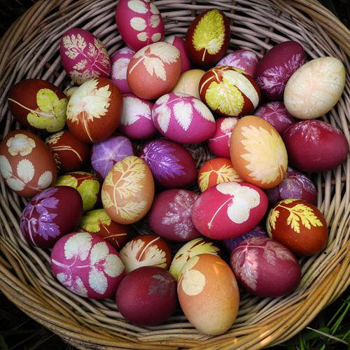 Natürliche Farbstoffe für Eier