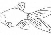 How to draw a fish? Several options