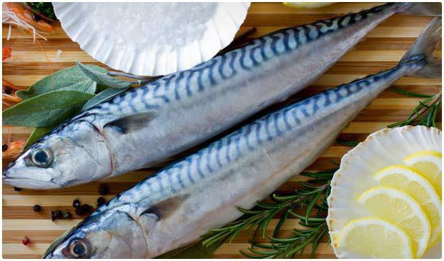 the salt herring
