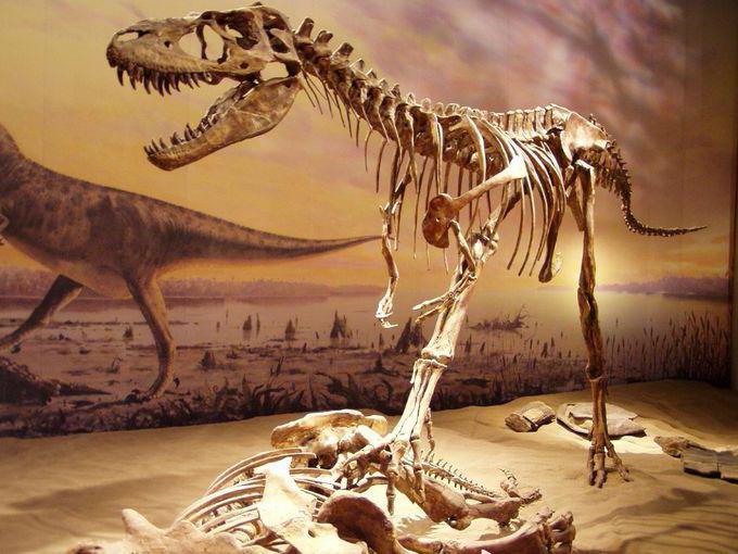 scientists paleontologists