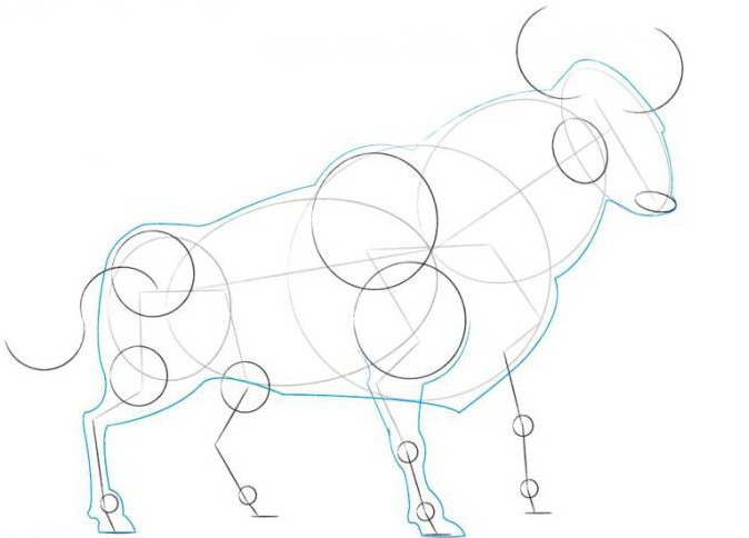 how to draw a bull with a pencil