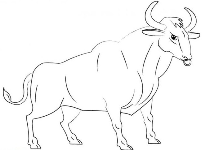 cómo dibujar el toro por etapas