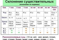 What is called a declension in the Russian language? Declension of nouns