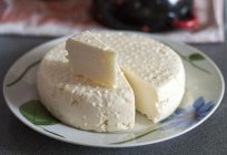 Adygei cheese: calorie content per 100 grams, composition, useful properties and contraindications. Recipe at home