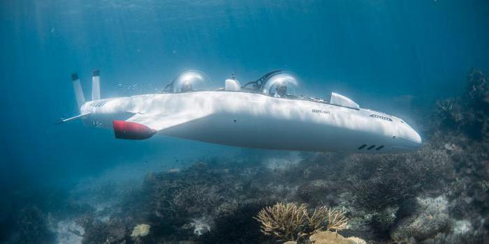 Özel denizaltı