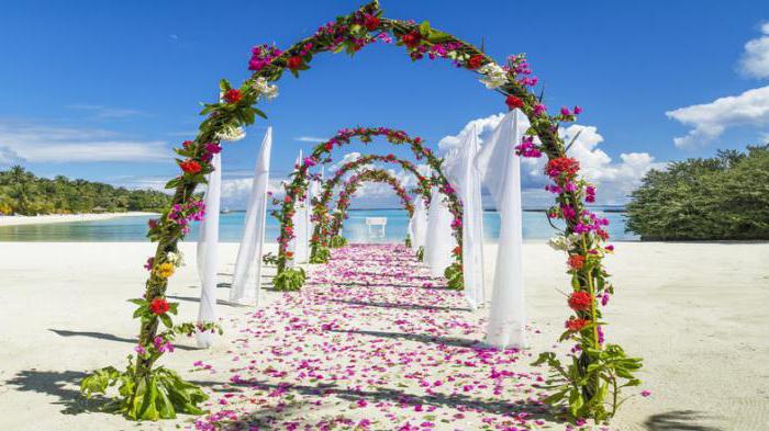 حفل زفاف في جزر المالديف قيمة