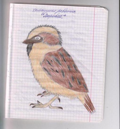 analysis of the poem the Sparrow Turgenev