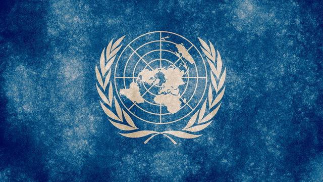 UN emblem symbolizes