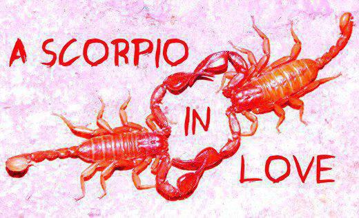 jak zrozumieć, że mężczyzna skorpion zakochany