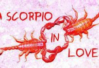 Jak rozkochać mężczyznę Skorpiona w siebie? Charakterystyka znaku. Jak zrozumieć, że człowiek-Skorpion zakochany