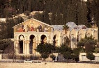 橄榄山在耶路撒冷：主的圣地和标