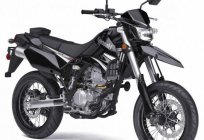 A Kawasaki 250 D-Tracker: especificações técnicas, fotos e comentários