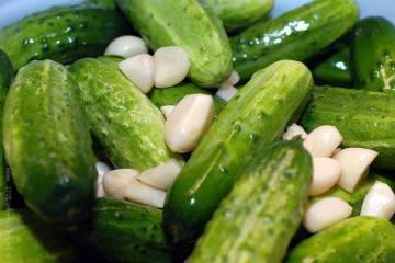 salted cucumbers, quickly