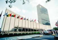 Gdzie znajduje się siedziba ONZ - wspólna 