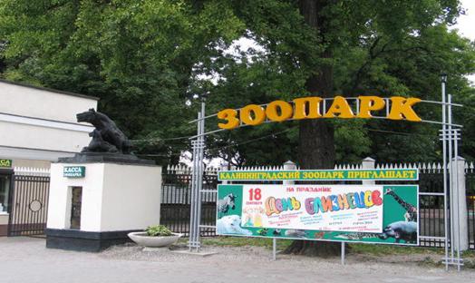 o jardim zoológico de Kaliningrado