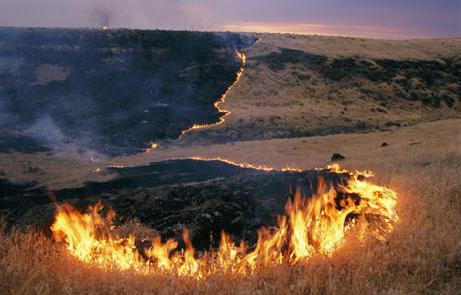 Prairie incêndios