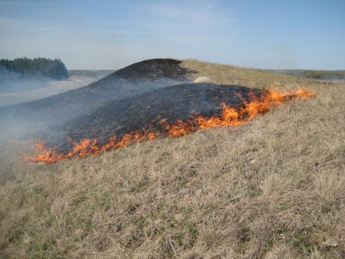 Prairie e торфяные incêndios