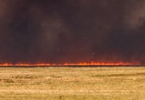 Prairie incêndios. Métodos de extinção de estepe de incêndios