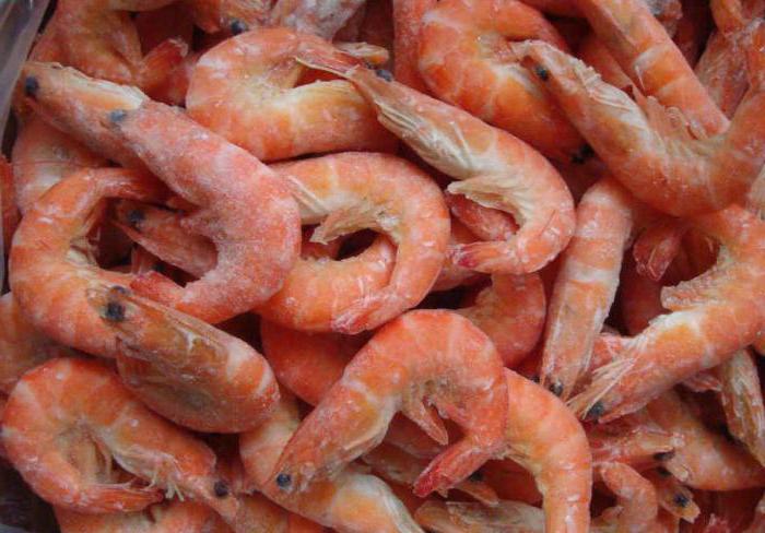 what dreams shrimp