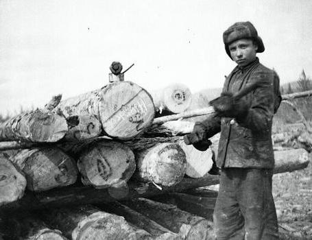 معسكرات العمل في الاقتصاد السوفياتي