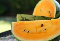 Wassermelone - Anbau im Ural möglich!