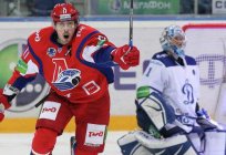 Hockey player Sergei Konkov: biography, photos