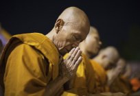 El zen es... el budismo Zen