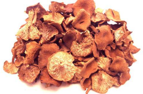 how to dry chanterelles for the winter in different ways