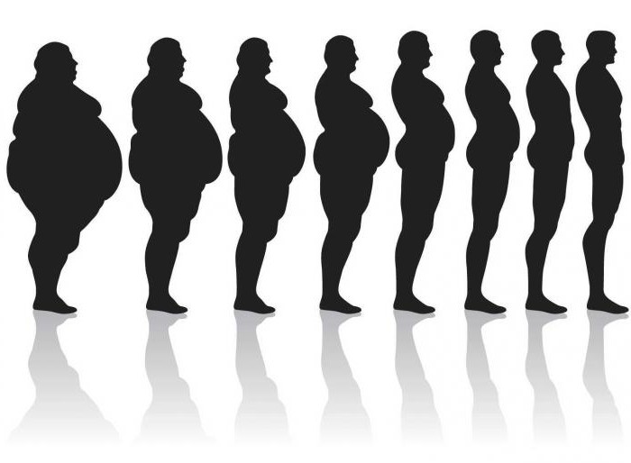 उचित पोषण की मूल बातें वजन घटाने के लिए मेनू