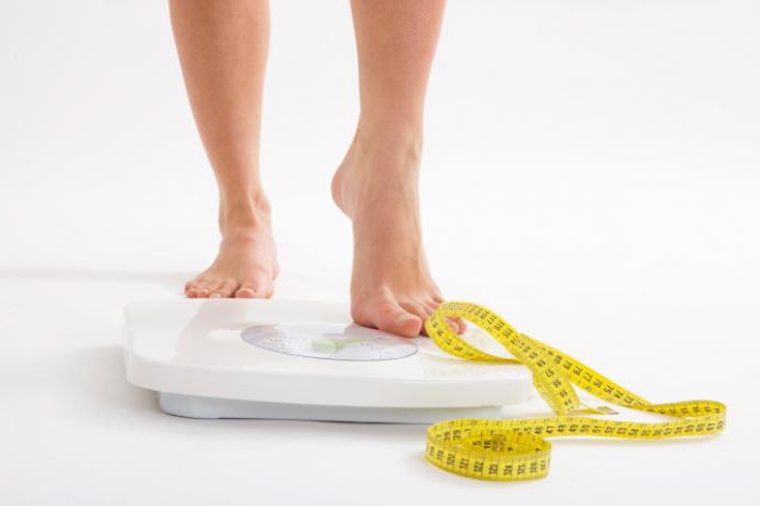 أساسيات التغذية السليمة لفقدان الوزن مخططات