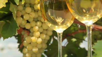 Homemade wine from white grapes